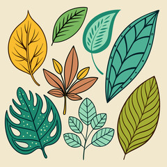 Collection of Unique Leaf Illustrations.  Botanical Prints and Nature Designs