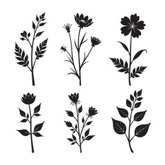 Black and white floral silhouette set with nature inspired decorative elements