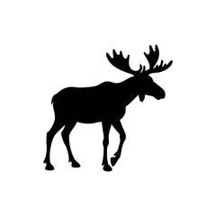 Moose silhouette, vector silhouette of an animal on a white background