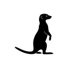 Meerkat silhouette, vector silhouette of an animal on a white background