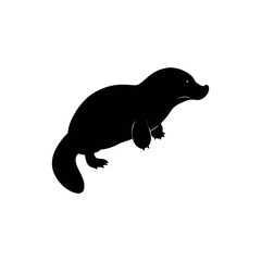 Platypus silhouette, vector silhouette of an animal on a white background