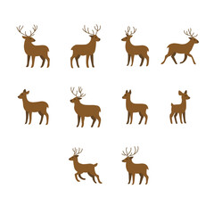 Flat Style Deer Set with Various Poses