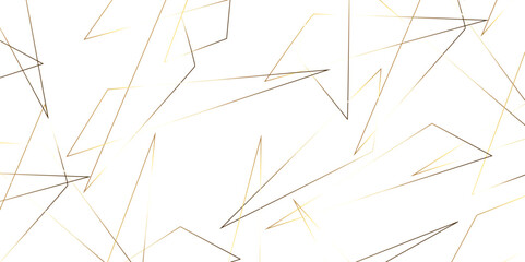 Triangular 3d, modern background Modern geometrical dynamic and seamless abstract white background. Random chaotic lines abstract geometric pattern. .graphic background dots with connections for your