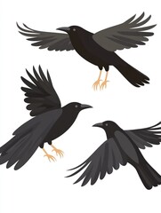 Obraz premium Three crows in flight