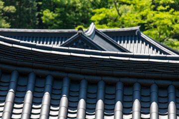 tiled roofs of the traditional Korean buildings in the Buddhist temple