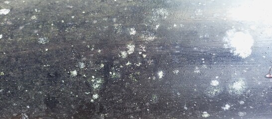Dark Weathered Surface with Grime and Fungal Growth