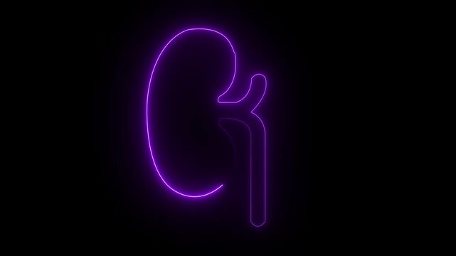 left Kidney animation by Neon line. left kidney icon. Urinary system part symbol.