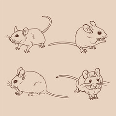 Set of mouse. Hand drawn vector illustration ink style.
