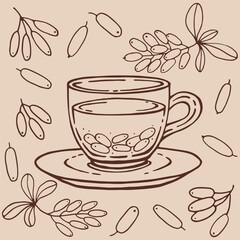 Set with glass cup tea, barberry. Hand drawn vector illustration in outline style.