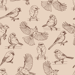 Seamless pattern with titmouse. Hand drawn vector illustration.