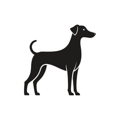 Elegant Silhouette of a Dog