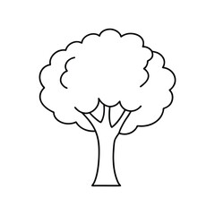 Cartoon tree outline illustration for kids' coloring book