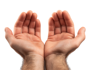 Open Hands Against Transparent Background, PNG