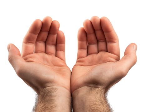 Open Hands Against Transparent Background, PNG - Powered by Adobe