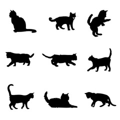 black silhouettes of cats vector