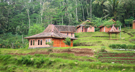 Photo of a traditional house with a rural feel. Made of wood. Located in Yogyakarta, Indonesia.