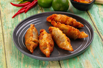 Asian fried stuffed dumplings gyoza