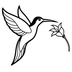 Hummingbird with flower line art vector illustration 