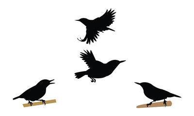 Algerian nuthatch bird Silhouette Design  And Vector Illustration. 