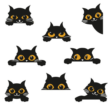 Adobe Illustrator Artwork Black Cat yellow eay vector image