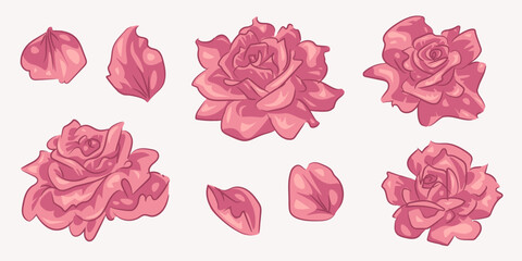 Set of hand drawn pink roses and petals isolated on white background. Hand drown cartoon flowers. Cute floral clipart. Vector illustration