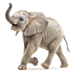 Fototapeta premium A baby elephant walking playfully with a clean body and joyful expression.