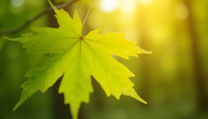 Nature-inspired background with blurred green leaves and sunlight bokeh, calming and fresh .