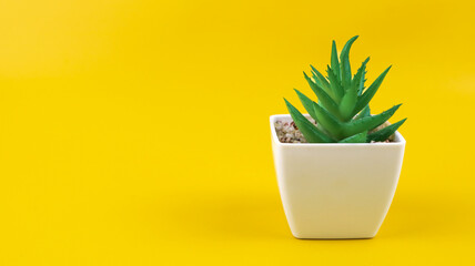 Plastic green plants in pots. Artificial plant in a pot isolated - on yellow background.