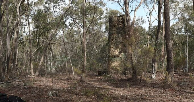 Historic relic, gold mining chimney in the bush near Castlemaine, Victoria Australia