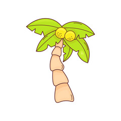 Cute vector  coconut palm in doodle style on white background. Perfect for summer designs, kids' prints, tropical themes, stickers. Stock isolated illustration.