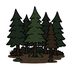 Obraz premium Dense evergreen forest with tall pine trees and underbrush 