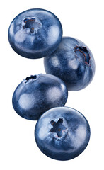 Flying blueberry isolated on white background