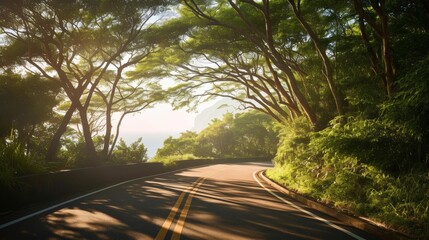 Obraz premium Sun-dappled forest road through lush greenery - inviting nature journey with vibrant landscape and clear blue skies