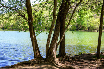 Turtle Lake, locally called Kus Tba, small lake and park at the outskirts of Tbilisi, capital of Georgia