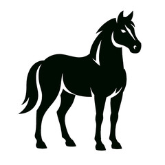 Horse full body, white background, monochrome black, flat vector illustration, illustrator style