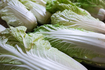 fresh raw Chinese cabbage leaf close up