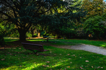 Fototapeta premium Blackheath is a town located near the highest point of the Blue Mountains, between Katoomba and Mount Victoria in New South Wales, Australia. 