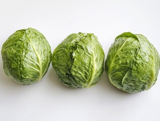 Fototapeta premium cabbage isolated on white