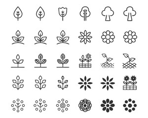 Vector leaves flowers trees plants icon set for nature botanical garden design and spring summer illustration