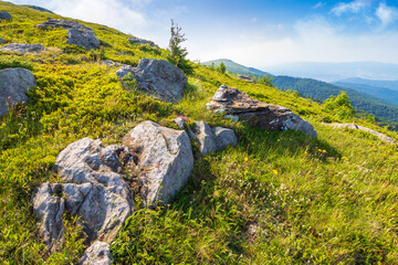 mountain landscape with blue sky in summer. nature background with hill for travel. beautiful view for alpine tourism and hiking. wonderful scenery for vacation and outdoor adventure in morning light