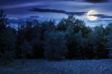 landscape with forest on the hill in summer at night. scenic view of blooming alpine pasture in full moon light. vacation season in european countryside. pastoral place in deciduous woodland