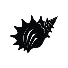 A murex shell silhouette vector art illustration