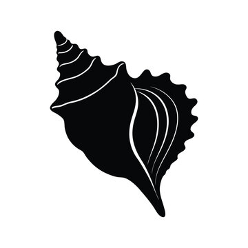 A conch shell silhouette vector art illustration