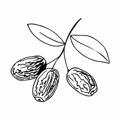 Seamless vintage pattern of hand-drawn vector fruit illustrations including apple, plums, and apricots