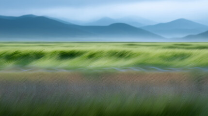 Obraz premium Lush green field under soft sunlight with misty mountains in distance