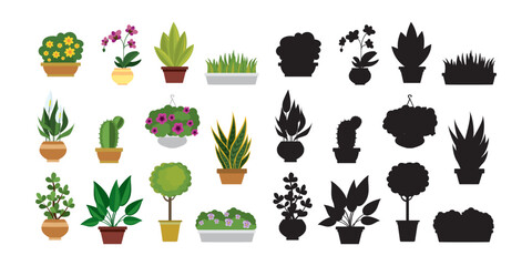 Set of different flowers in pots and plants. Collection of house plants and flowers isolated on white background. Colorful icons and black silhouettes signs.