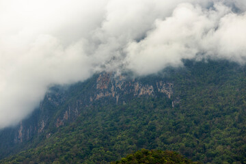 Landscape of Morning Mist with Mountain Layer. mountain ridge and clouds in rural jungle bush forest