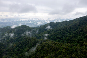 Obraz premium Landscape of Morning Mist with Mountain Layer. mountain ridge and clouds in rural jungle bush forest