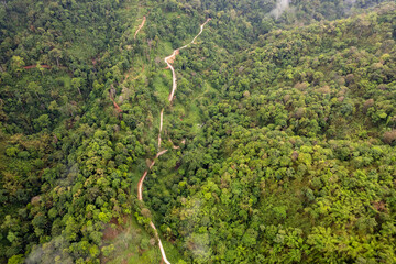 Landscape of Morning Mist with Mountain Layer. mountain ridge and clouds in rural jungle bush forest