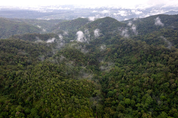 Fototapeta premium Landscape of Morning Mist with Mountain Layer. mountain ridge and clouds in rural jungle bush forest